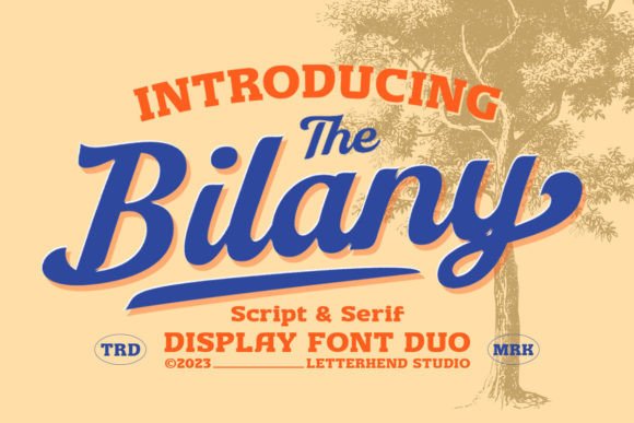 The Bilany: A Vintage-Infused Font Duo That Elevates Real Business Branding